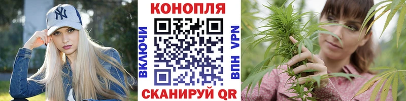 Хочу наркоту Ленинградская КОКАИН  Псилоцибиновые грибы  Гашиш  Героин  Alpha-PVP 