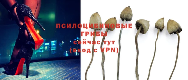 мескалин Богородск