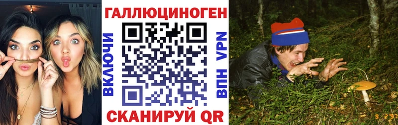 Псилоцибиновые грибы ЛСД  Ленинградская 